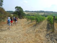 Wandelen in Toscane 04